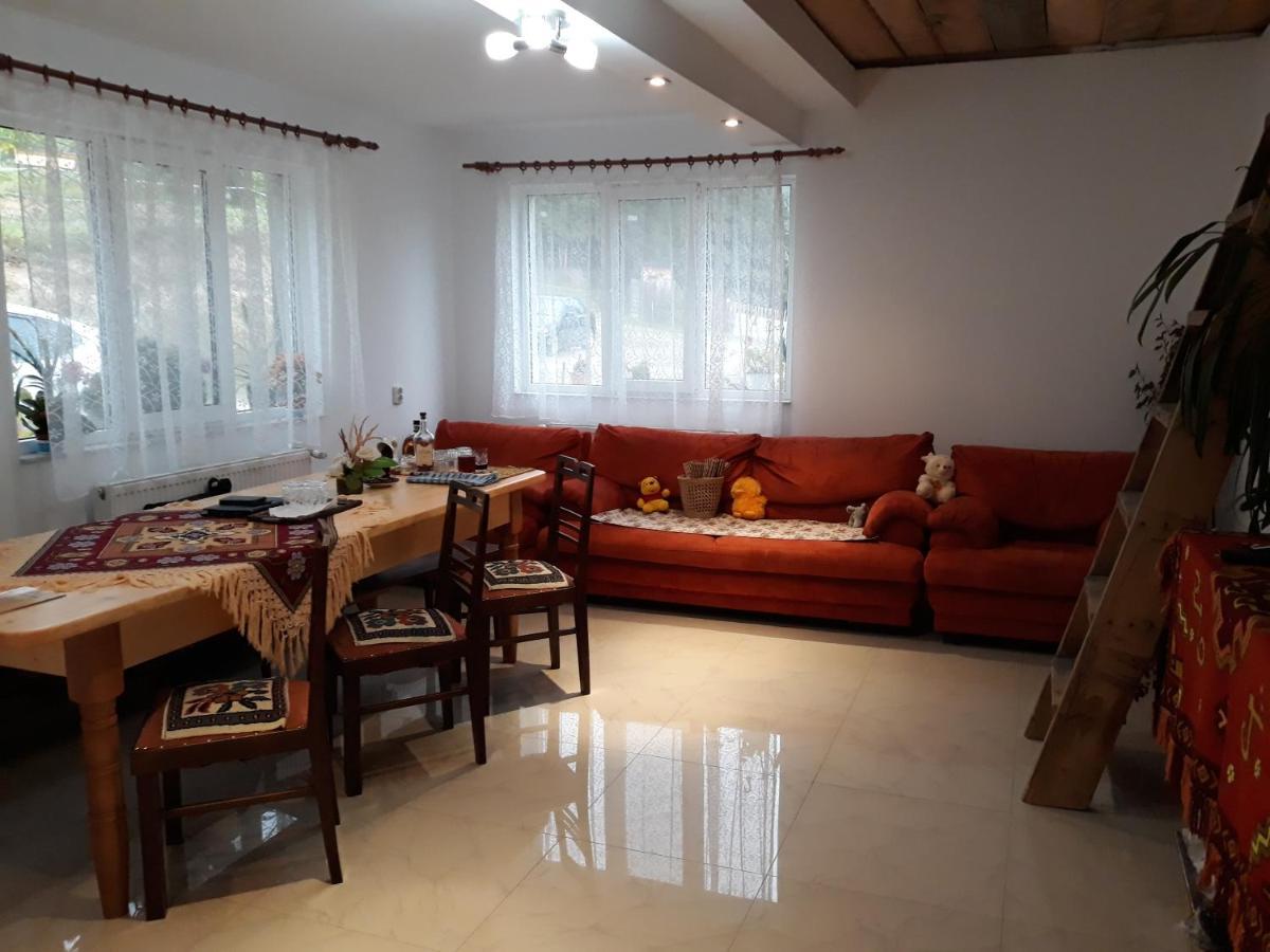 Casa Geanina Panzió Kolibica Kültér fotó