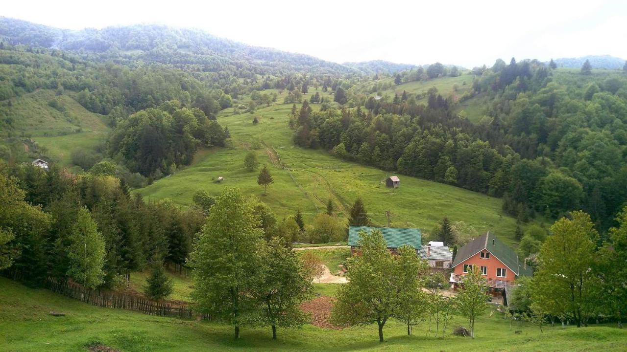 Casa Geanina Panzió Kolibica Kültér fotó