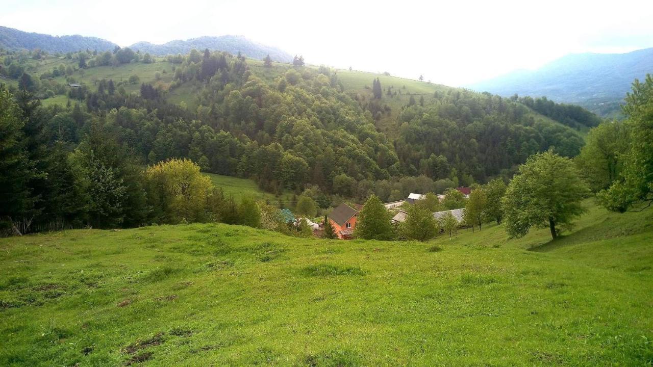Casa Geanina Panzió Kolibica Kültér fotó