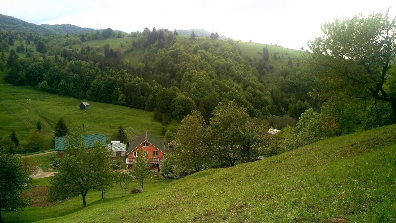 Casa Geanina Panzió Kolibica Kültér fotó
