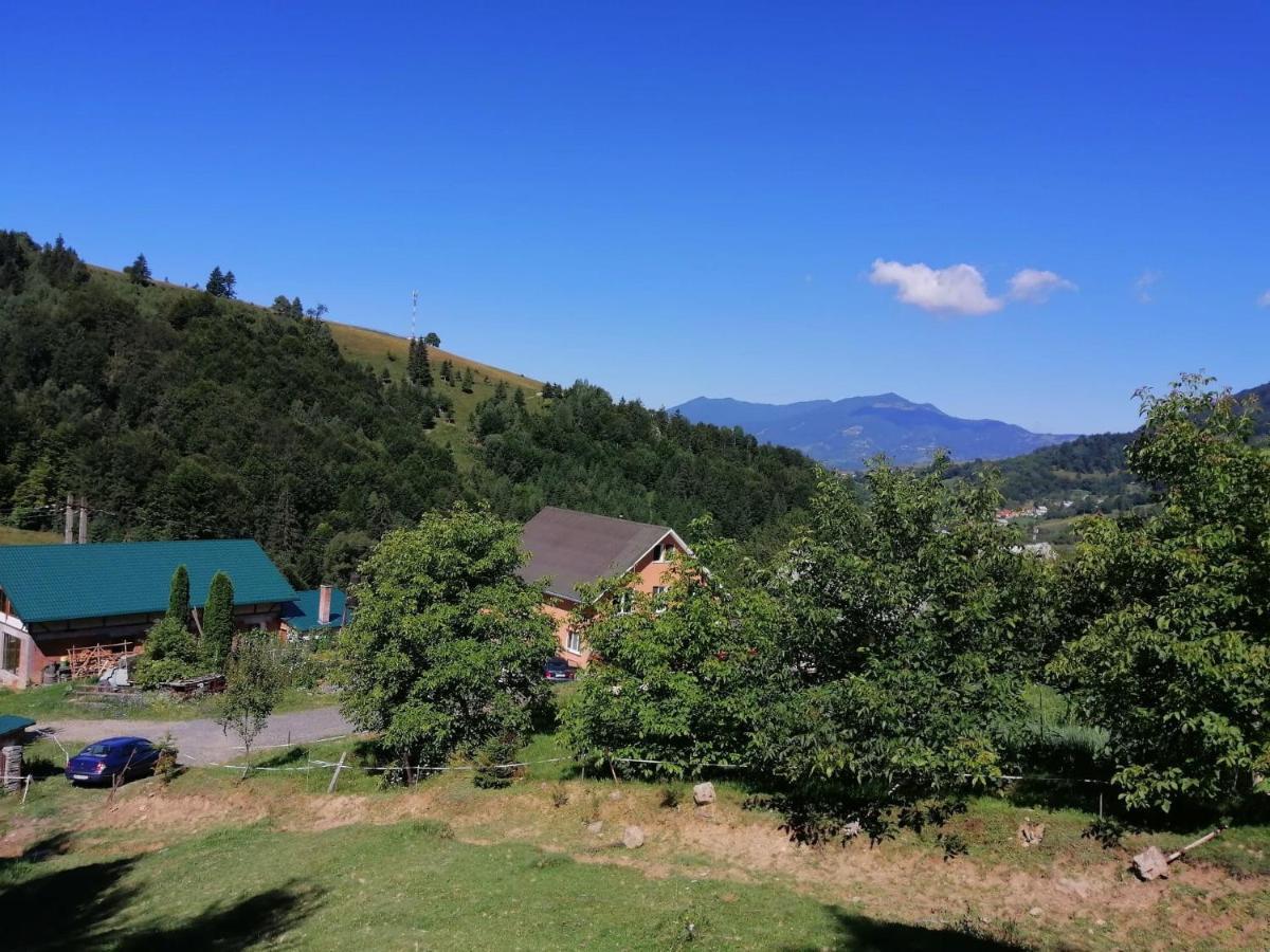 Casa Geanina Panzió Kolibica Kültér fotó