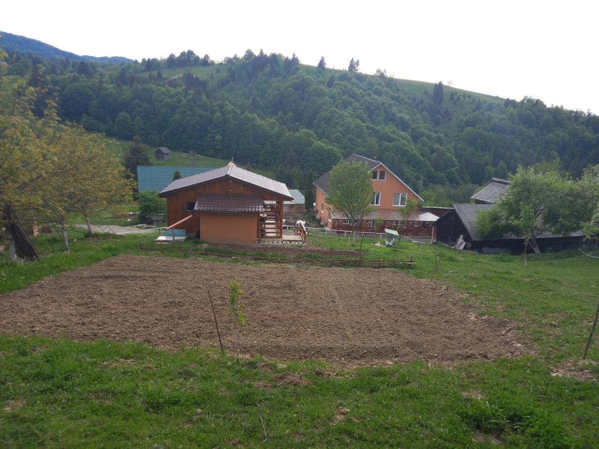Casa Geanina Panzió Kolibica Kültér fotó