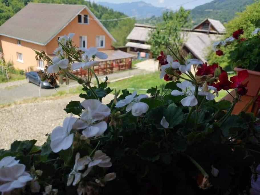 Casa Geanina Panzió Kolibica Kültér fotó
