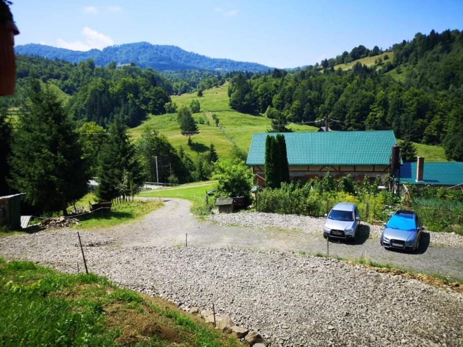 Casa Geanina Panzió Kolibica Kültér fotó