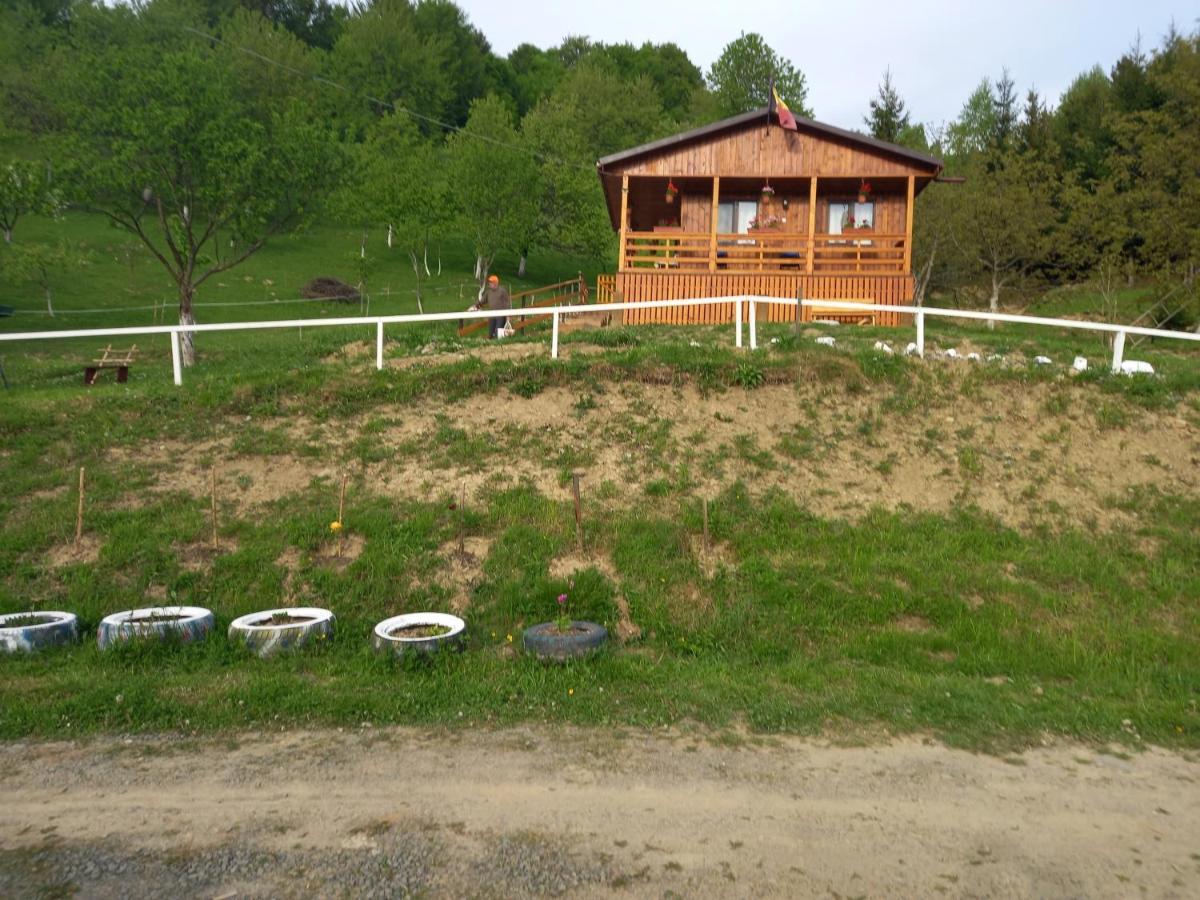Casa Geanina Panzió Kolibica Kültér fotó