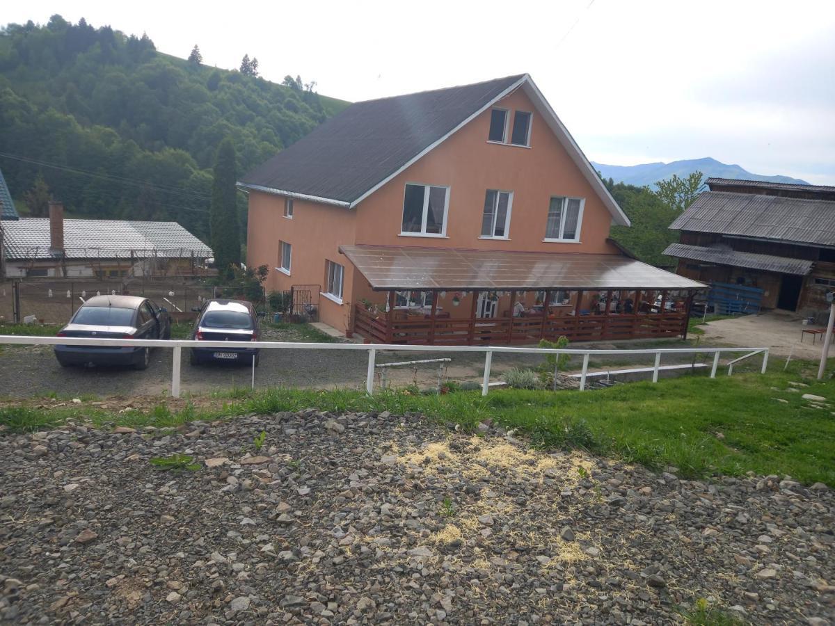 Casa Geanina Panzió Kolibica Kültér fotó