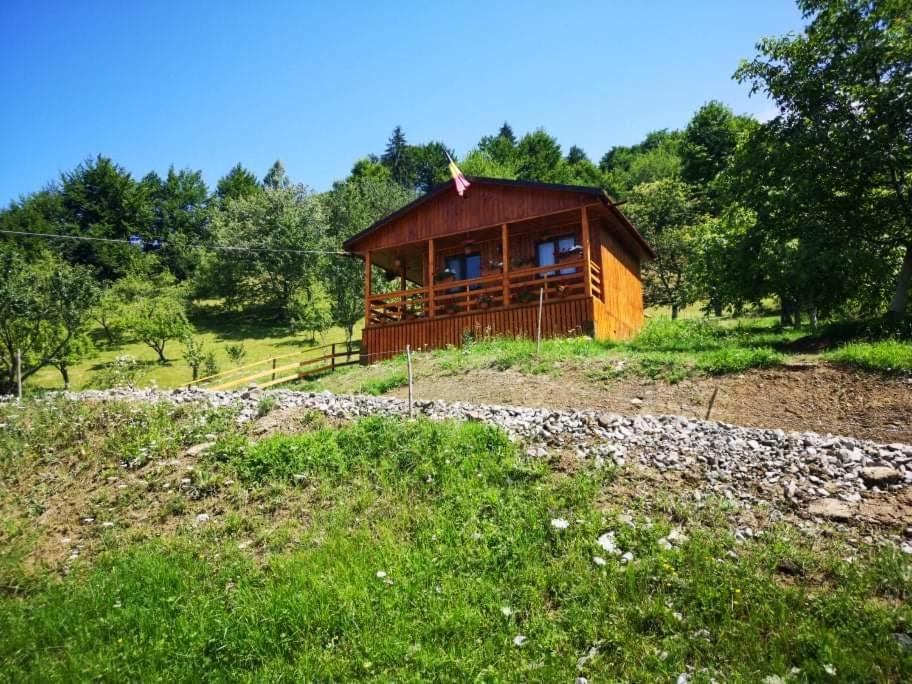 Casa Geanina Panzió Kolibica Kültér fotó