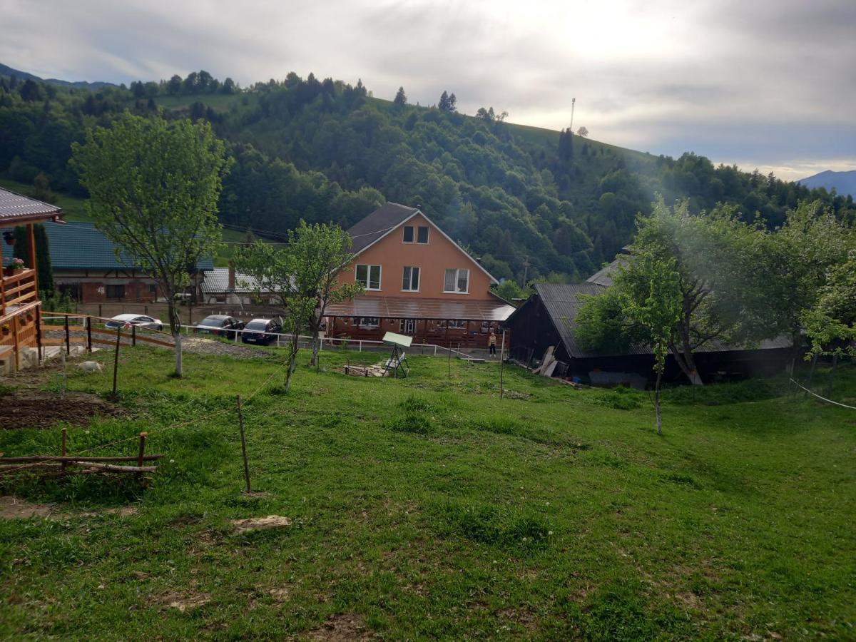 Casa Geanina Panzió Kolibica Kültér fotó