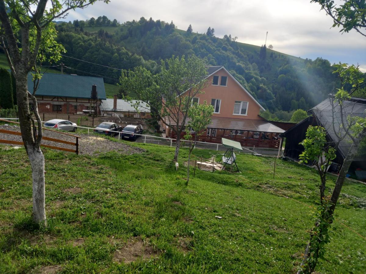 Casa Geanina Panzió Kolibica Kültér fotó