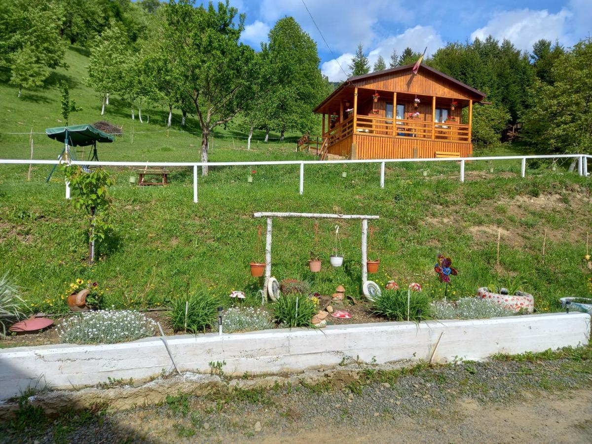 Casa Geanina Panzió Kolibica Kültér fotó