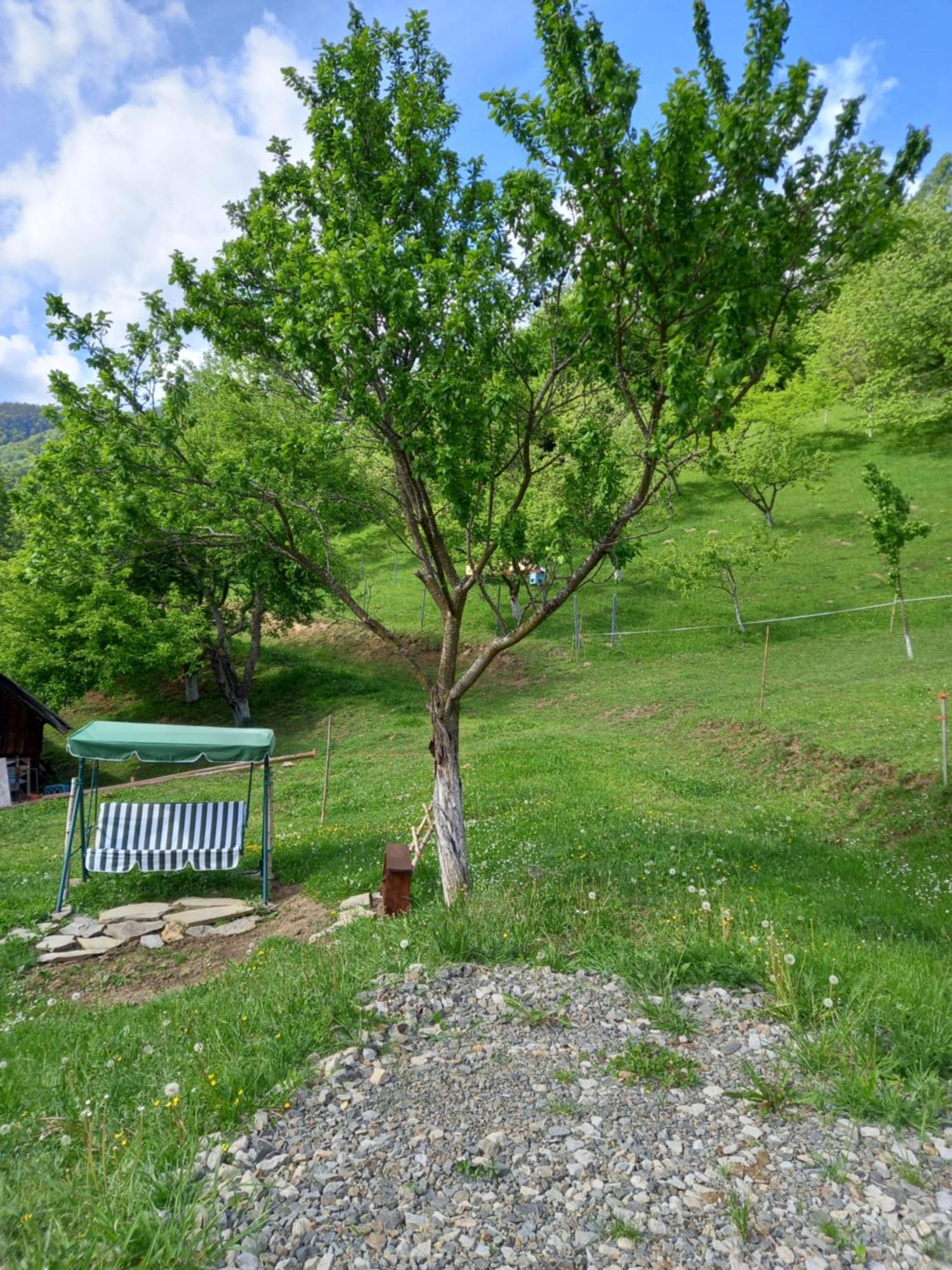 Casa Geanina Panzió Kolibica Kültér fotó