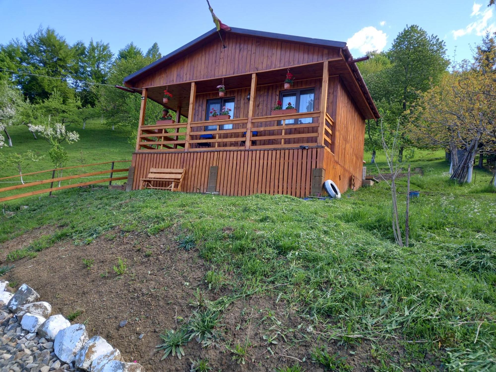 Casa Geanina Panzió Kolibica Kültér fotó