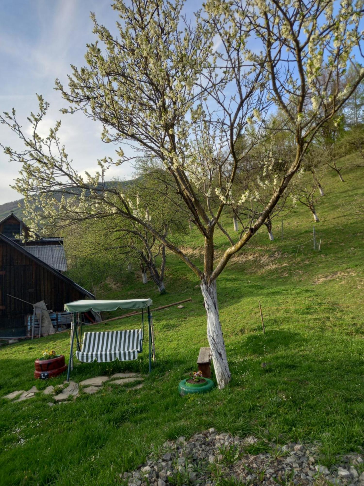 Casa Geanina Panzió Kolibica Kültér fotó