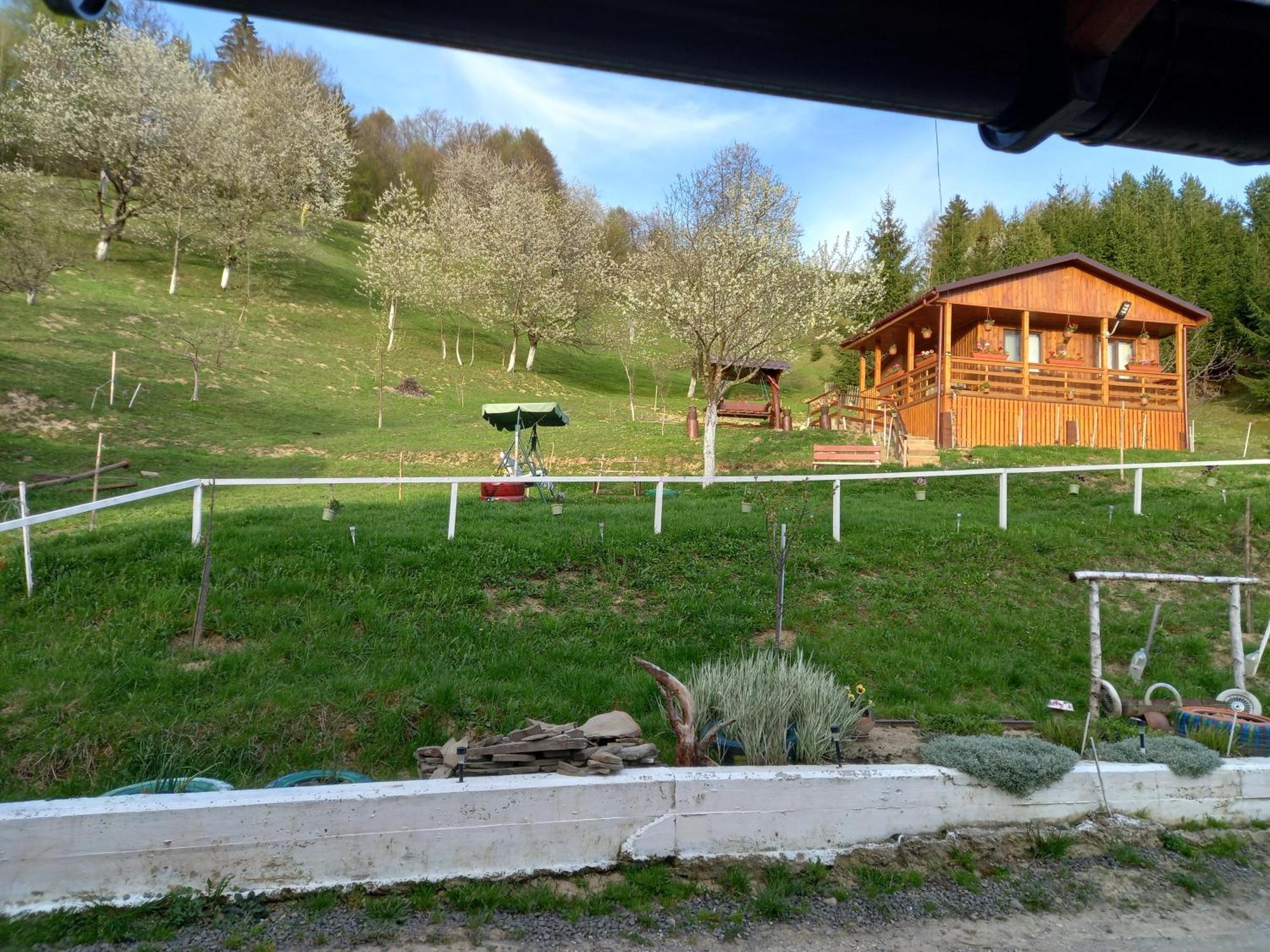 Casa Geanina Panzió Kolibica Kültér fotó