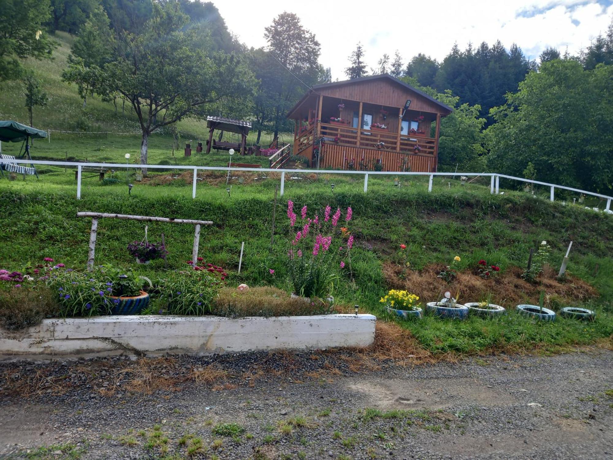 Casa Geanina Panzió Kolibica Kültér fotó