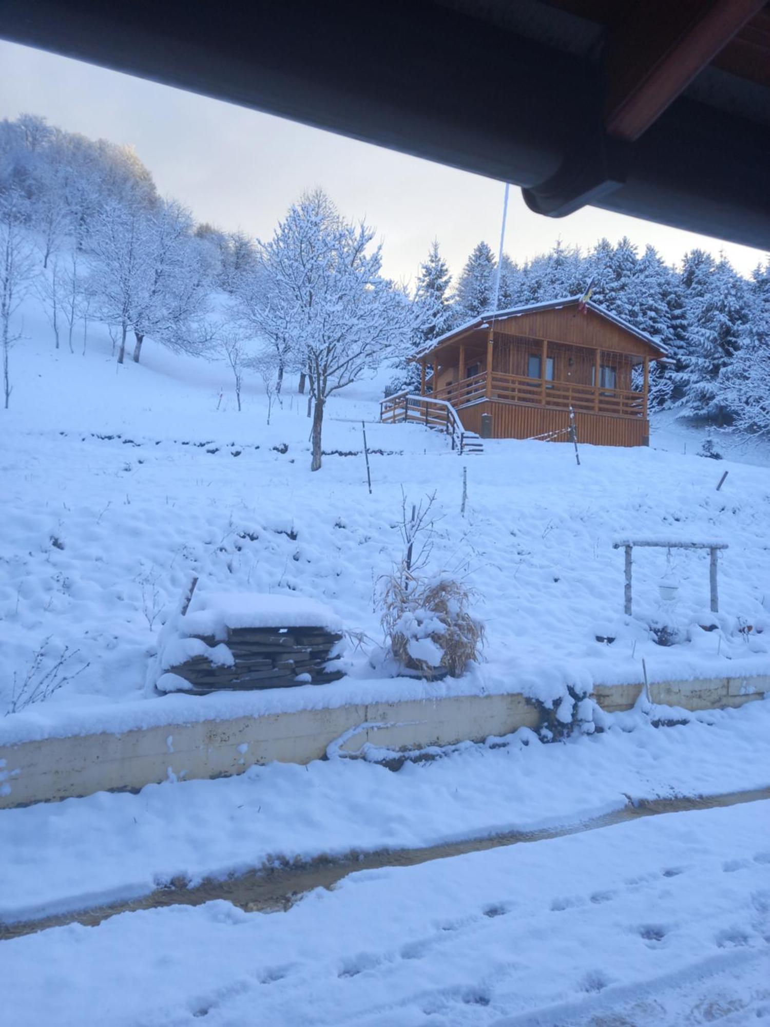 Casa Geanina Panzió Kolibica Kültér fotó