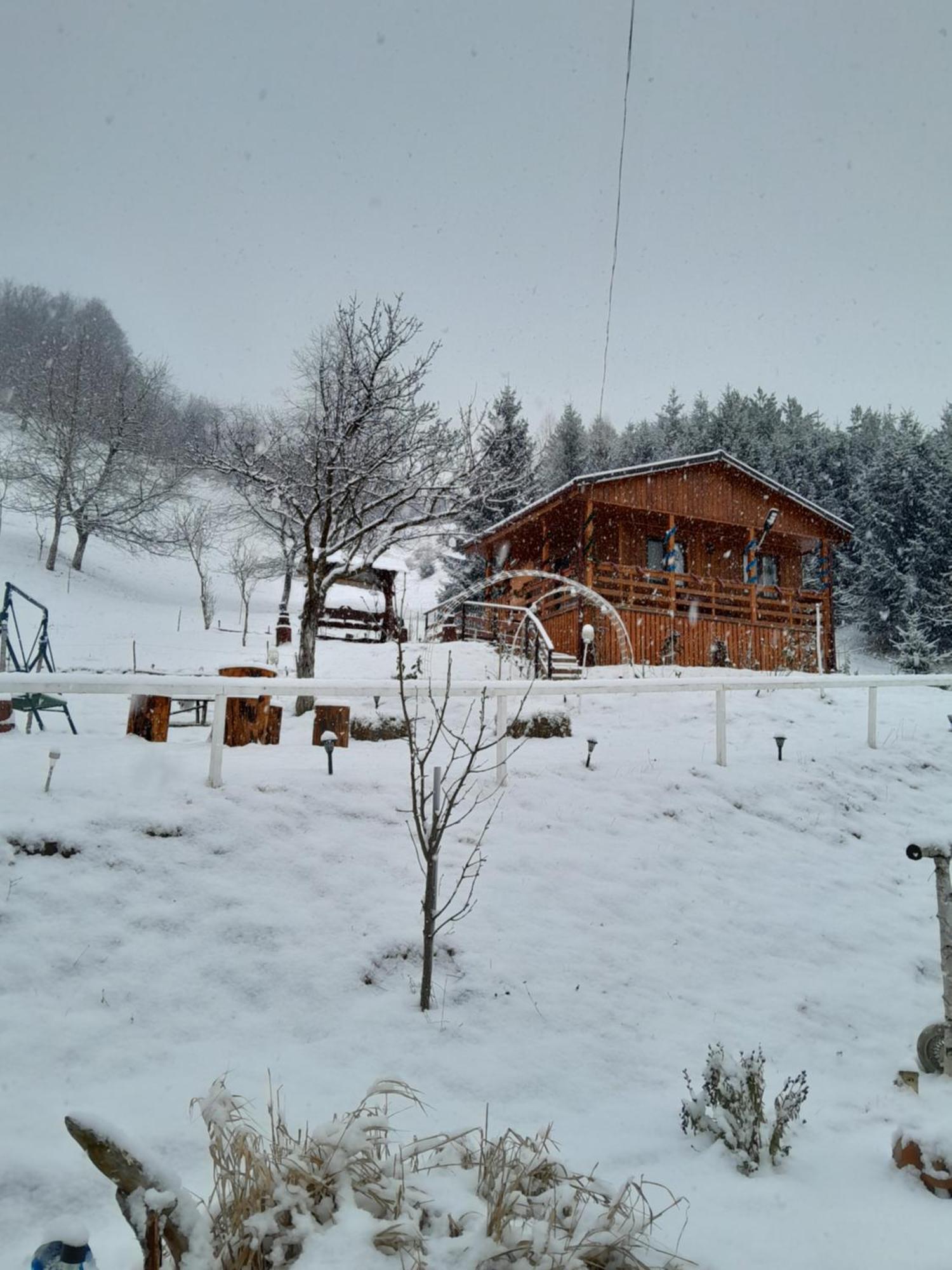 Casa Geanina Panzió Kolibica Kültér fotó