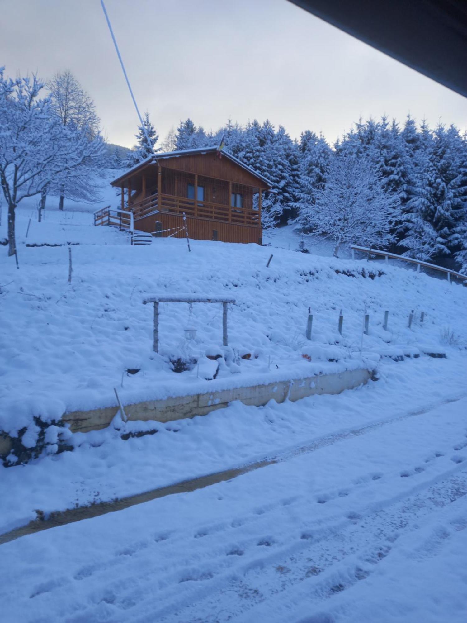 Casa Geanina Panzió Kolibica Kültér fotó