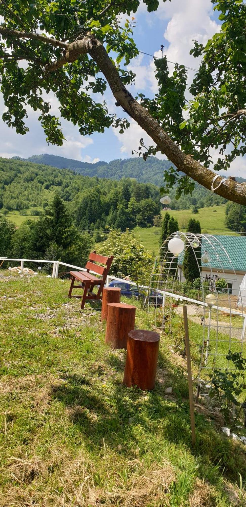 Casa Geanina Panzió Kolibica Kültér fotó