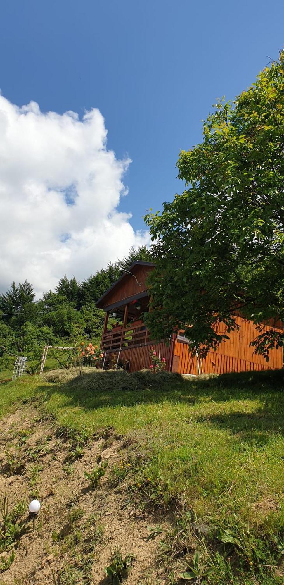 Casa Geanina Panzió Kolibica Kültér fotó