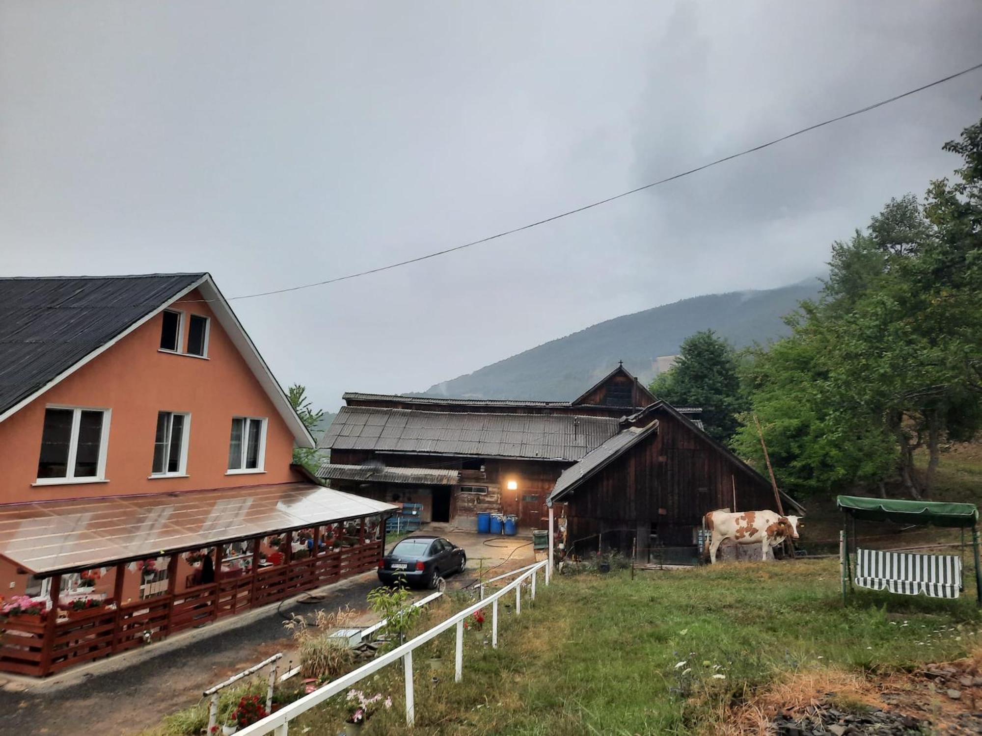 Casa Geanina Panzió Kolibica Kültér fotó