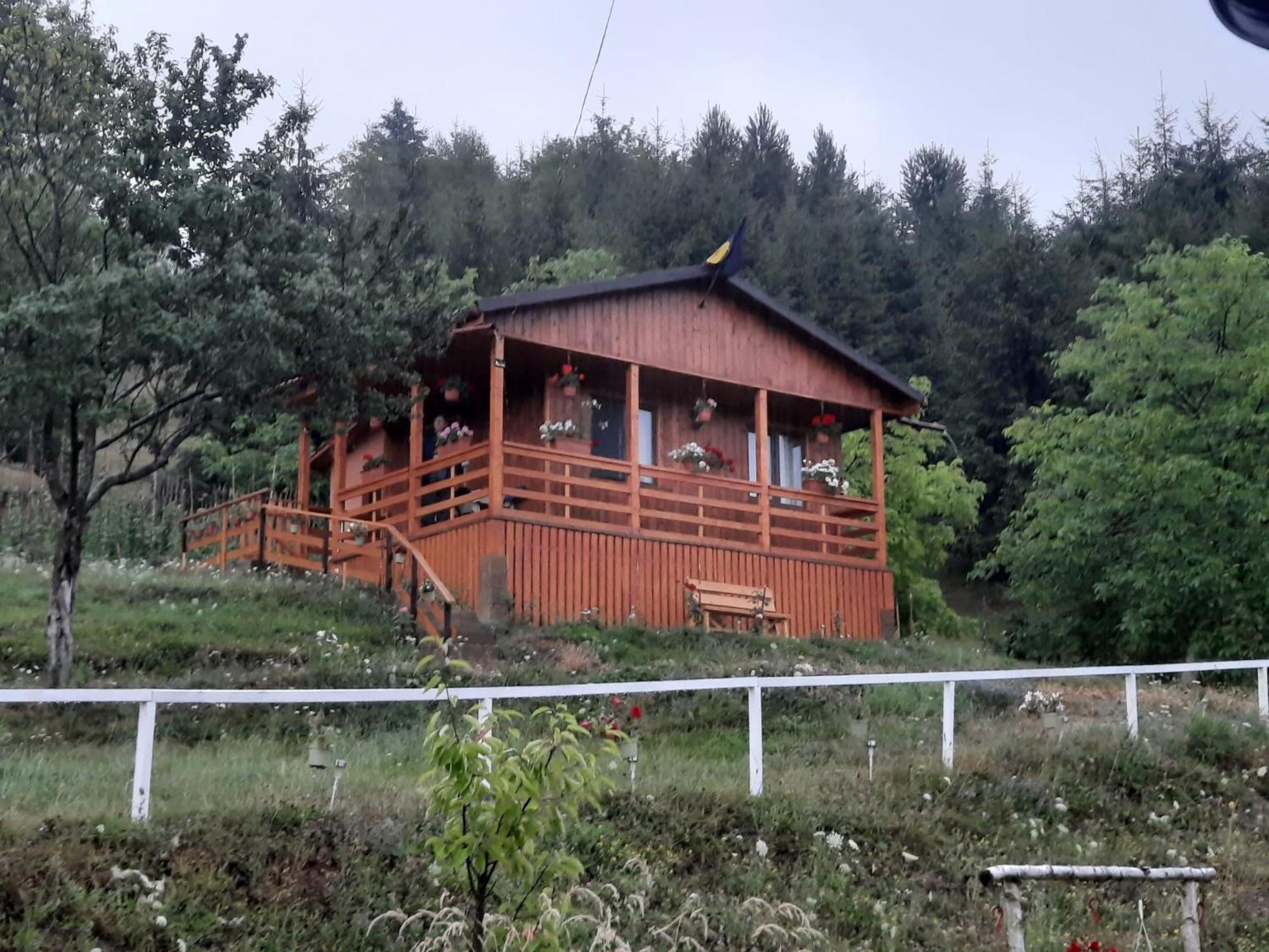 Casa Geanina Panzió Kolibica Kültér fotó