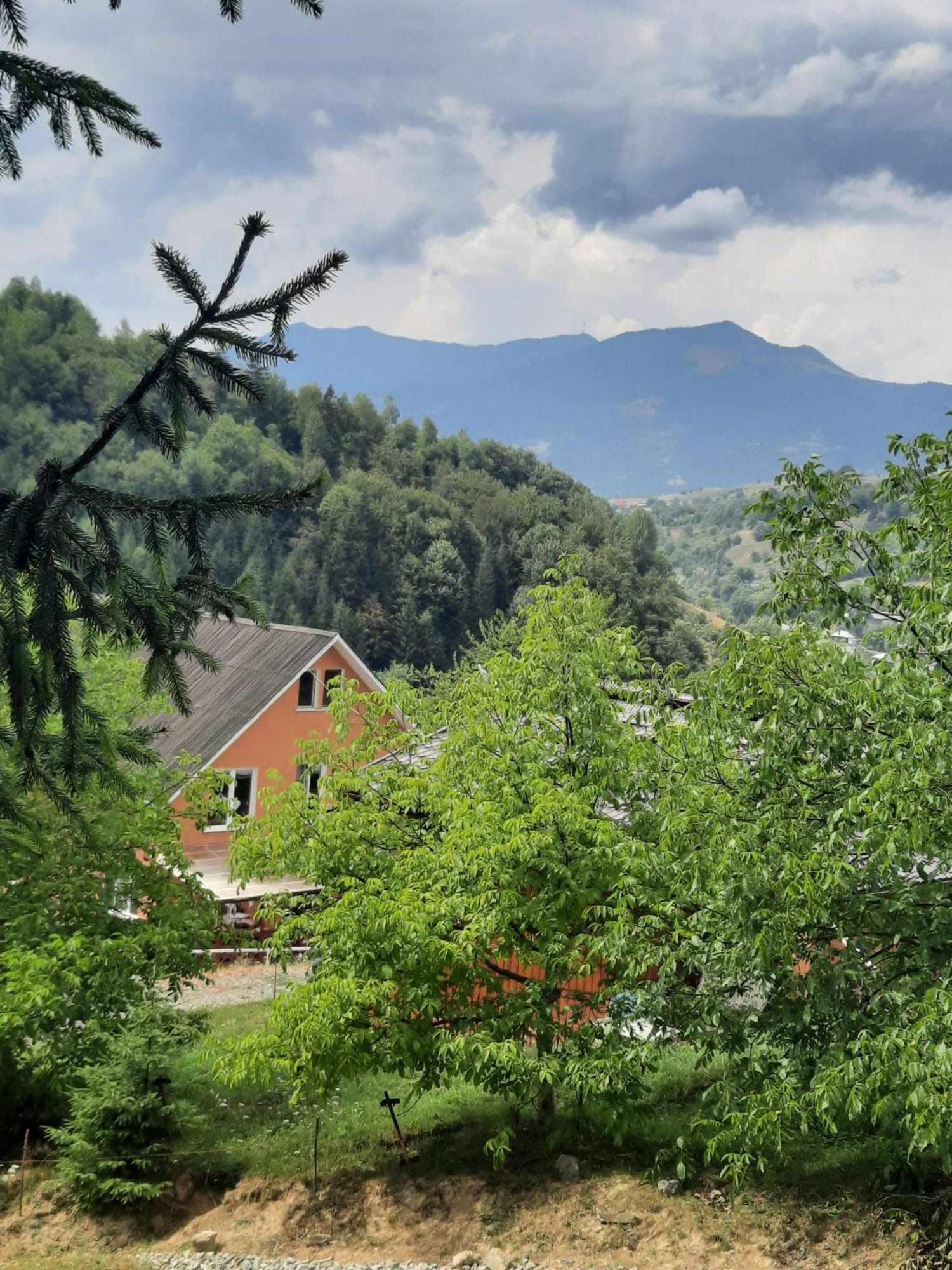 Casa Geanina Panzió Kolibica Kültér fotó