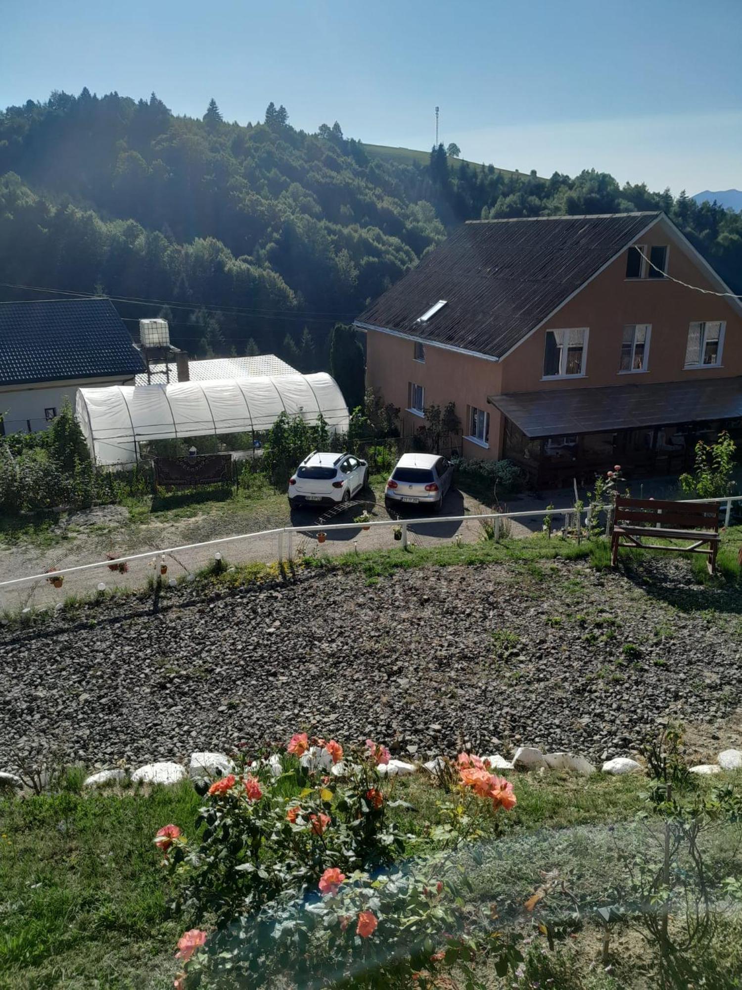 Casa Geanina Panzió Kolibica Kültér fotó